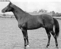 stallion Glasgow 2274-L (US) (American Trotter, 1972, from Hickory Pride 98581 (US))