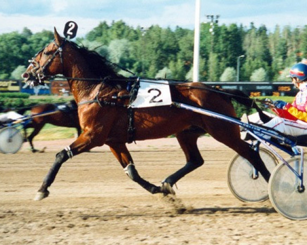 horse Don Juan Kemp 89-1105 (American Trotter, 1989, from Dynastic US-A-8943)