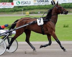 broodmare Patricia Kemp 01-1011 (American Trotter, 2001, from Express Ride B-4323 (US))