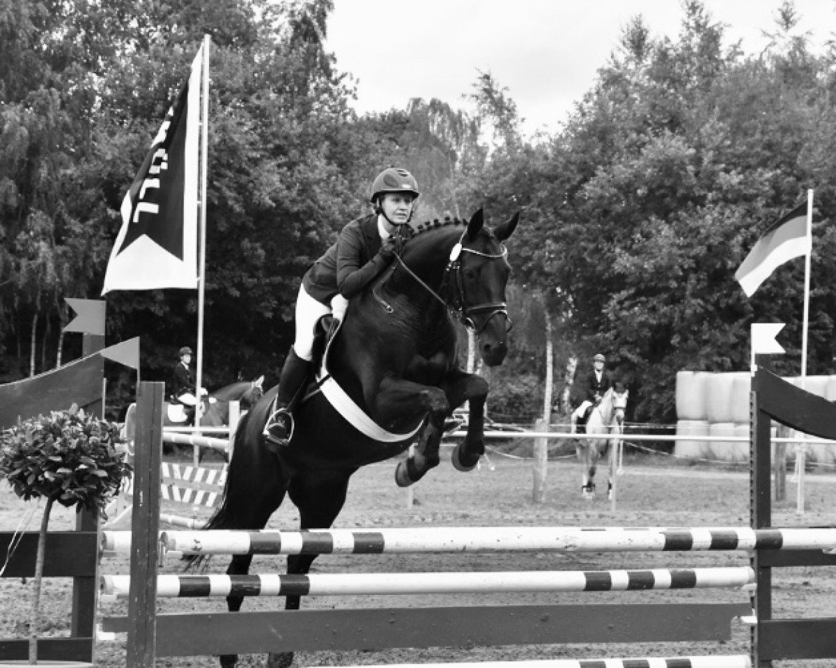 Pferd Karamica Piccola M (Trakehner, 2002, von Windfall)