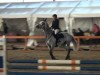 jumper Bottorfer (KWPN (Royal Dutch Sporthorse), 2004, from Berlin)