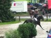 jumper Skribbelino (Hanoverian, 2006, from Stakkato)