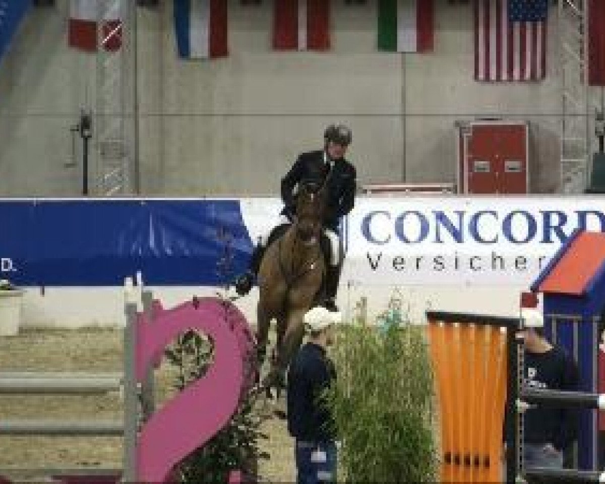 jumper Quirasso (Oldenburg show jumper, 2003, from Quidam's Rubin)