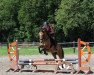 broodmare Meine Favoritin (German Riding Pony, 2016, from Dancing Fox 2)