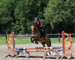 broodmare Meine Favoritin (German Riding Pony, 2016, from Dancing Fox 2)