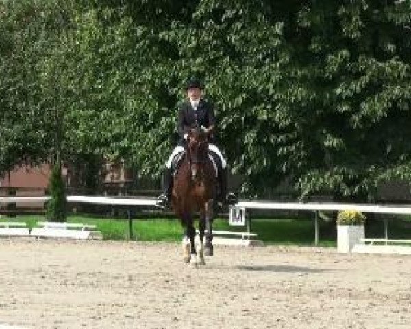 dressage horse Frasquita (Westphalian, 2000, from Fidermark)