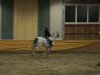 dressage horse Felix D. (Saxony-Anhaltiner, 1998, from Farinelli)