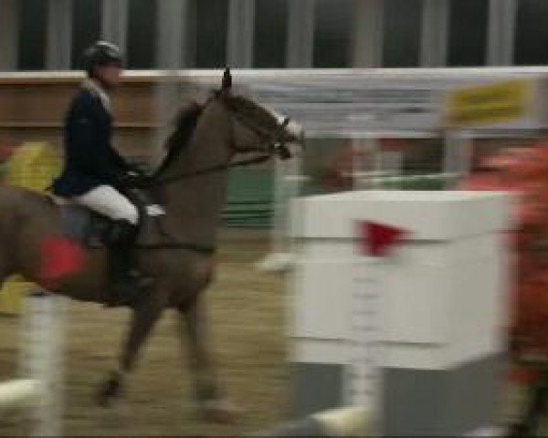 jumper Randasch (KWPN (Royal Dutch Sporthorse), 1998, from Karandasj)
