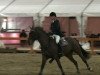 jumper Quando Quando (Hanoverian, 2004, from Quidam's Rubin)