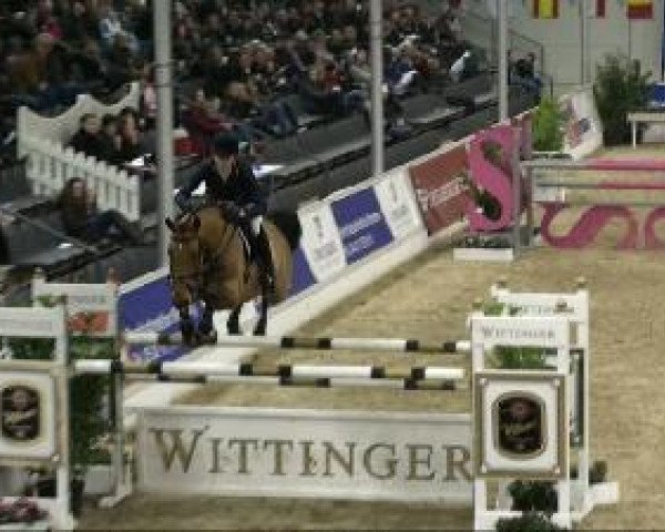 jumper Whistler 8 (KWPN (Royal Dutch Sporthorse), 2003, from Lupicor)