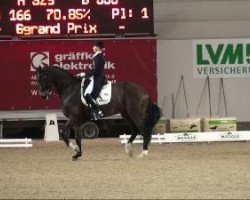 dressage horse Renommee 41 (Hanoverian, 2002, from Rotspon)