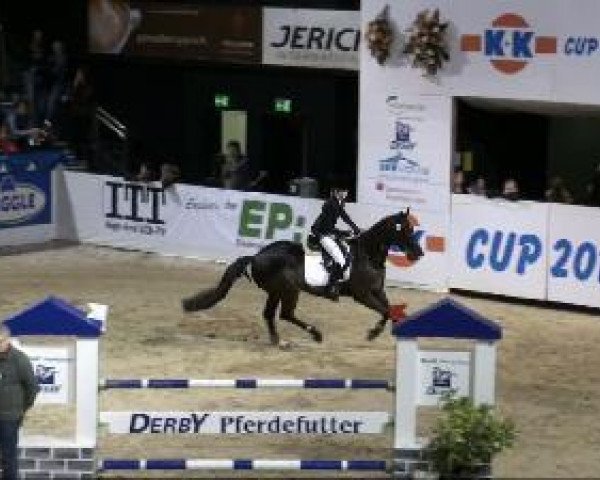 jumper Marquis 182 (Trakehner, 2004, from Axis TSF)