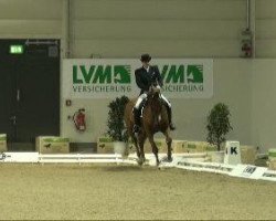 dressage horse Leif Mathi (Oldenburg, 2002, from Lordanos)