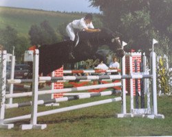 Pferd Arthus (Trakehner, 1981, von Luzifer)