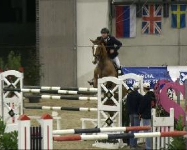 jumper Bubi-Louis (Oldenburg show jumper, 2003, from Barrichello)