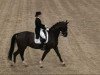 dressage horse Rothenstein (Hanoverian, 2001, from Rotspon)