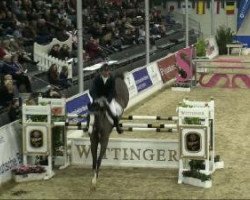 jumper Balou Blom (Oldenburg, 2004, from Balou du Rouet)