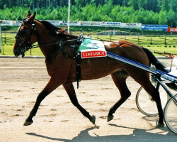 horse Louise Laukko 92-1154 (American Trotter, 1992, from Fly Caster A0923 (US))