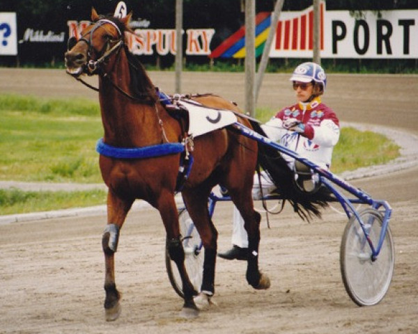 Pferd Isla J Brave 88-2122 (Amerikanischer Traber, 1988, von Choctaw Brave 6577V (US))