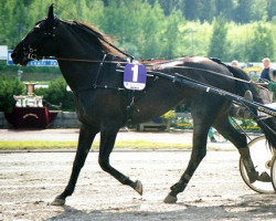 stallion Indian Silver 93-1352 (American Trotter, 1993, from Choctaw Brave 6577V (US))