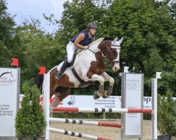 horse It's Crazy Charly CH (Swiss Warmblood, 2003, from Irco Pino H)