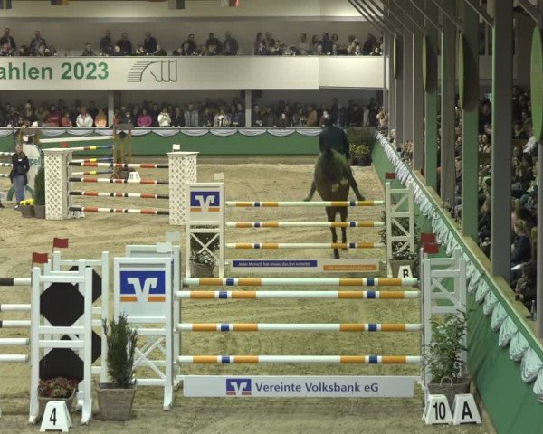 Reitturnier Gahlen 2023