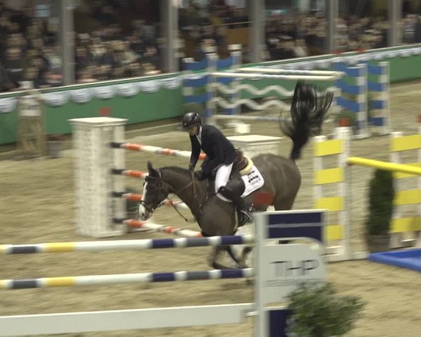 Reitturnier Gahlen 2023