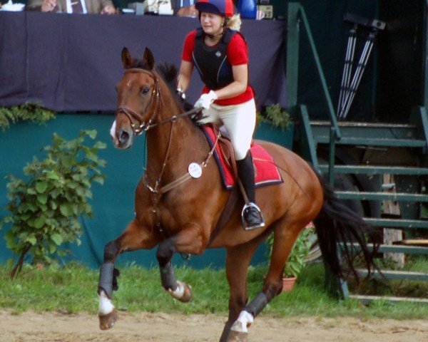 Springpferd Muckel (Westfale, 1996, von Del Mar L)