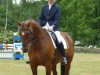 dressage horse Santos 416 (Hanoverian, 1990, from Salut)