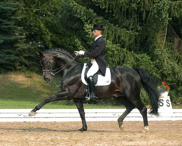 stallion Remy Martin Pur S (Oldenburg, 1992, from Rubinstein I)