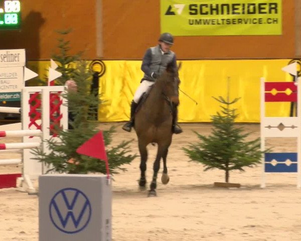Reitturnier Dielsdorf 2023