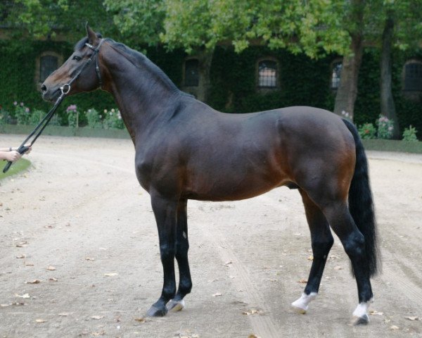 stallion Florestan I (Rhinelander, 1986, from Fidelio)