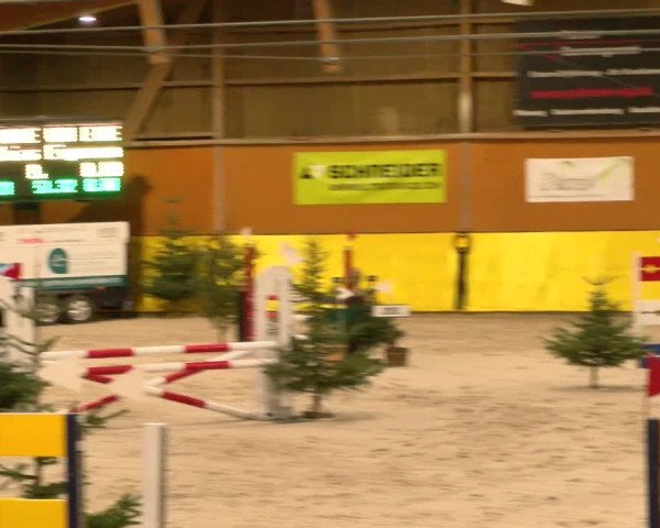 Reitturnier Dielsdorf 2023