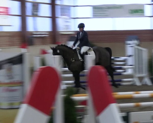 Reitturnier Ostenfelde-Vornholz 2023