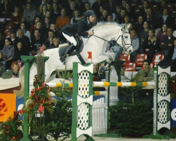horse Acordia (Oldenburg, 1994, from Acord II)