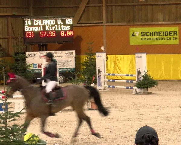 Reitturnier Dielsdorf 2023