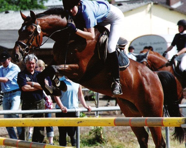 broodmare Saskania N (Hessian Warmblood, 1999, from Saskan)