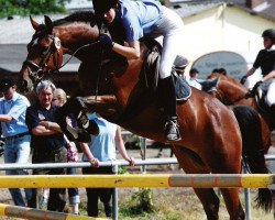 broodmare Saskania N (Hessian Warmblood, 1999, from Saskan)