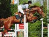 jumper Cabardina N (Oldenburg show jumper, 2003, from Cabardino N)