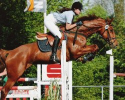 jumper Cabardina N (Oldenburg show jumper, 2003, from Cabardino N)