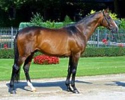 stallion Prestige xx (Thoroughbred, 1989, from Plevne xx)