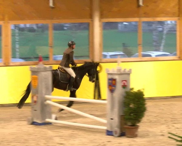 Reitturnier Dielsdorf 2023