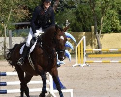 jumper Quirin 13 (Hanoverian, 2004, from Quidam's Rubin)