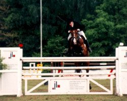 broodmare Geronima (KWPN (Royal Dutch Sporthorse), 1988, from Able Albert xx)