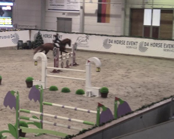Reitturnier Prussendorf 2023