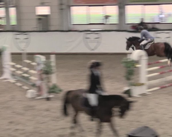 Reitturnier Prussendorf 2023
