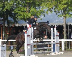 Springpferd Lennox (Sachsen-Anhaltiner, 2002, von Preussenulan)