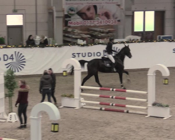 Reitturnier Prussendorf 2023