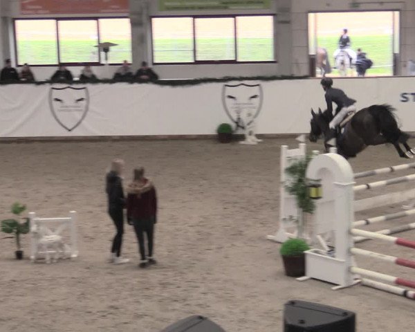 Reitturnier Prussendorf 2023
