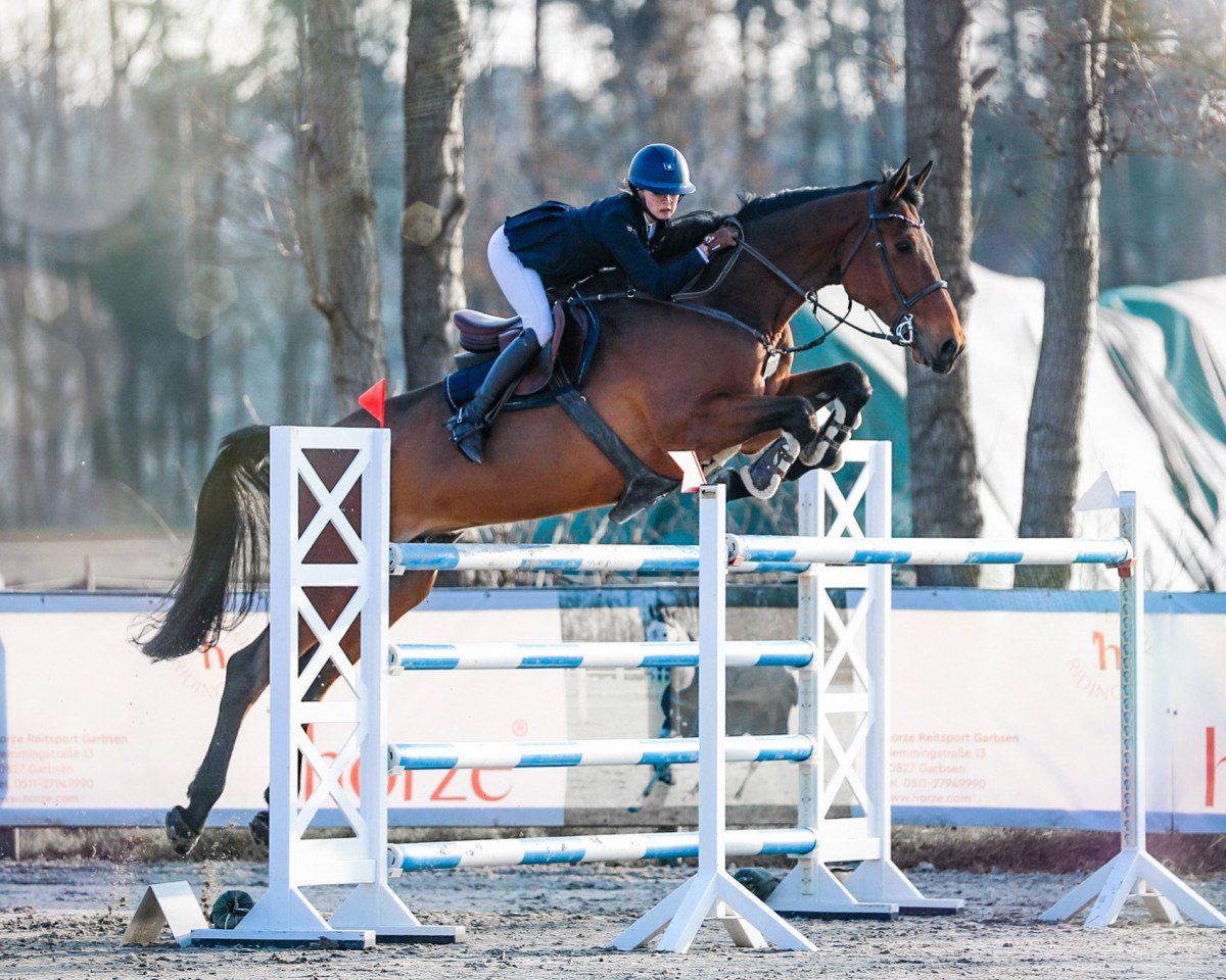 Springpferd Nanu Nana E (Belgisches Warmblut, 2010, von Nabab de Rêve)
